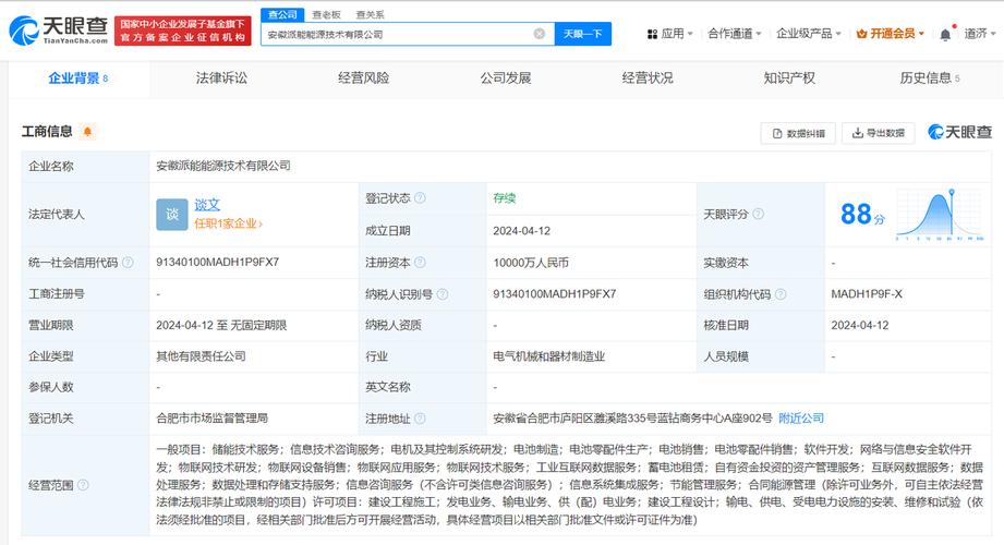 为谈文,注册资本1亿人民币,经营范围含储能技术服务,物联网